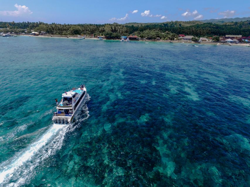 Nusa Lembongan Island: Snorkeling & Mangrove Forest Day Tour - Additional Information