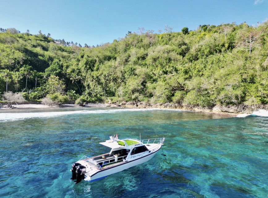 Nusa Penida: Snorkeling in 4 Spots (Manta Rays) Land Tour - Practical Information