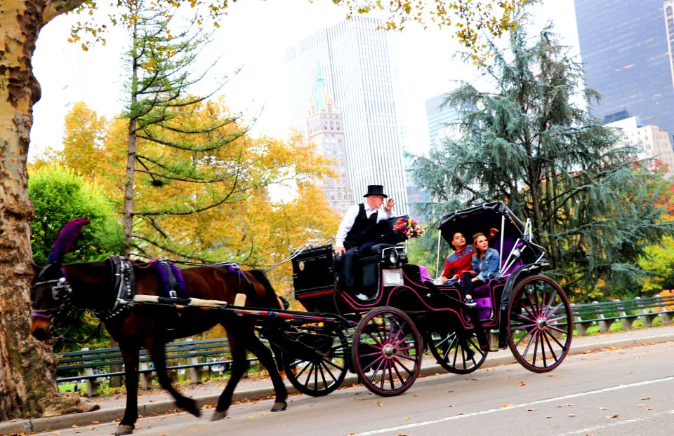 NYC: Guided Standard Central Park Carriage Ride (4 Adults) - Customer Testimonials