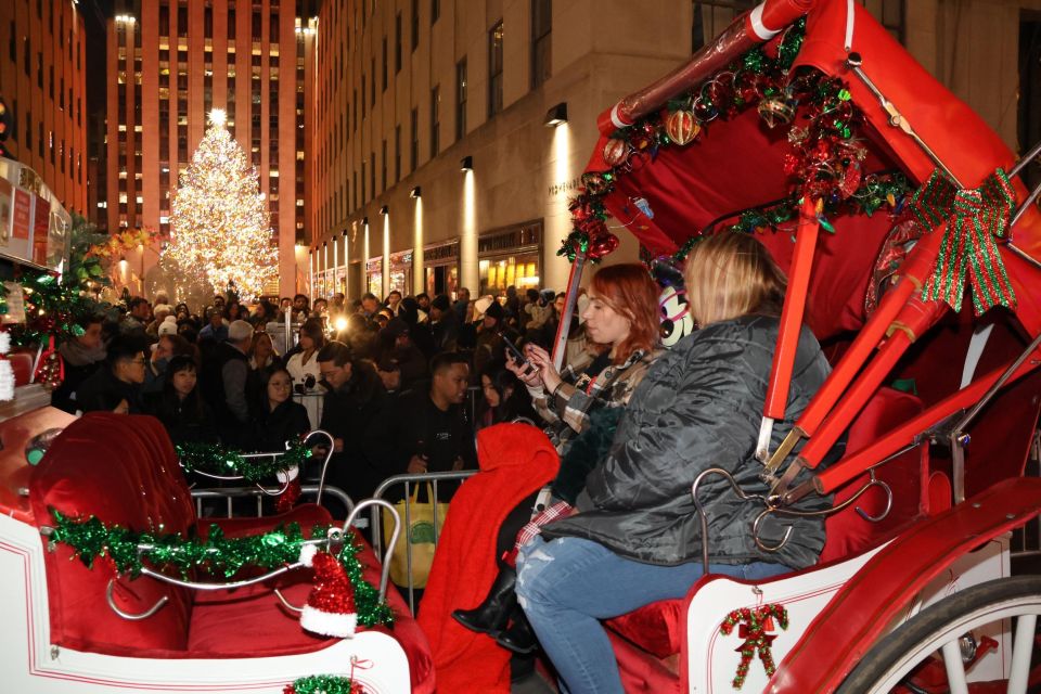 NYC: Magical Christmas Lights Carriage Ride (Up to 4 Adults) - Customer Reviews