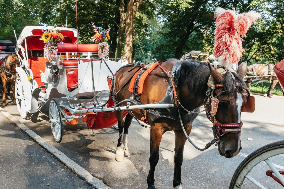 NYC MAGICAL NIGHT TIME RIDE Central Park/Rockefeller Center - Participant Guidelines