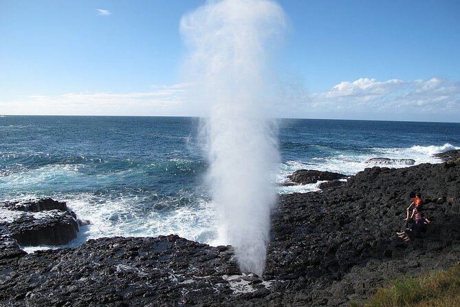 Oahu Circle Island Tours - Customer Service and Assistance