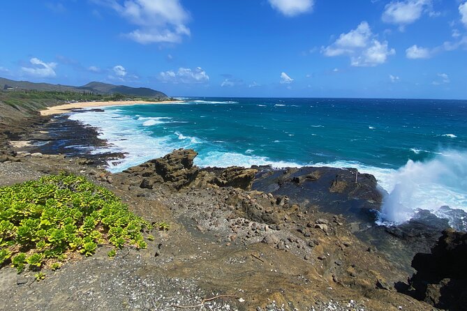 Oahu Island Experience Feat. North Shore (Small Group Tour) - Pick-up Location and Time