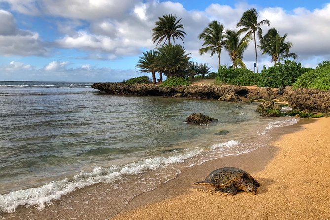 Oahu Island Photography Tour - Viator Booking Experience