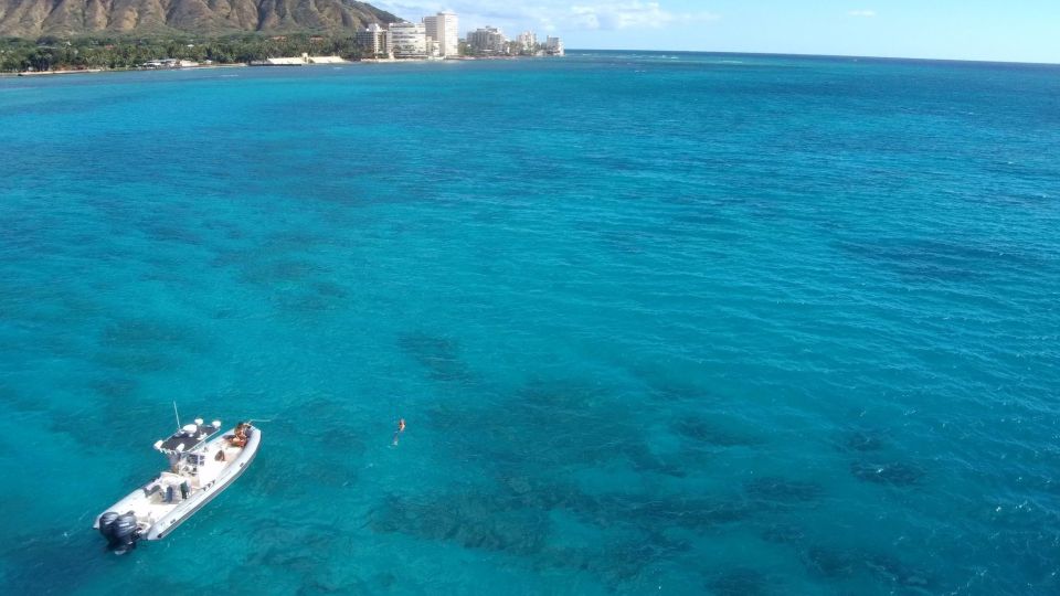 Oahu: Waikiki Private Snorkeling and Wildlife Boat Tour - Snorkeling Gear and Wildlife Viewing