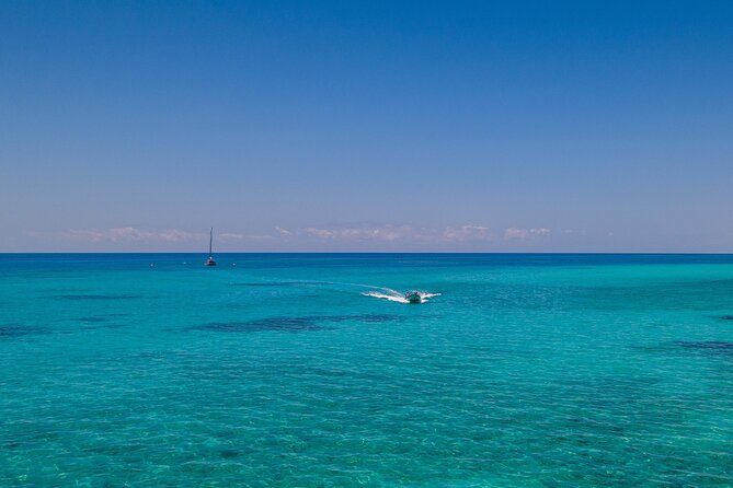 Ocean Free Green Island & Great Barrier Reef Snorkel Cruise - Customer Reviews