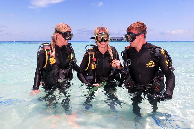 Ocean Spirit Sail to Michaelmas Cay Snorkel or Dive, From Cairns - Highlights of the Tour Experience