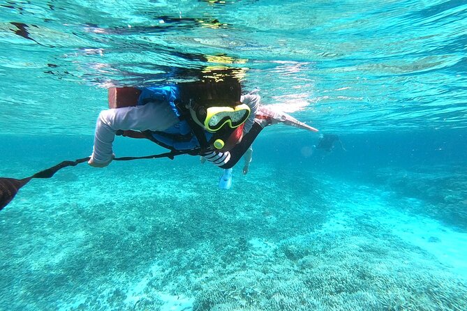 [Okinawa Iriomote] Snorkeling Tour at Coral Island - Booking and Cancellation Policy