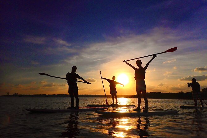 [Okinawa Iriomote] Sunset SUP/Canoe Tour in Iriomote Island - Customer Reviews