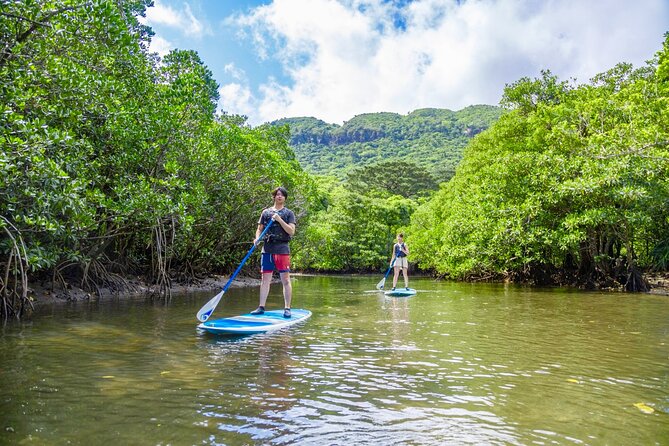 [Okinawa Iriomote] Sup/Canoe Tour in a World Heritage - Directions