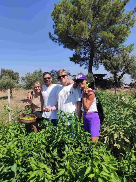 Olive Tasting & Rustic Lunch in Country Home With Live Music - Transportation and Pickup