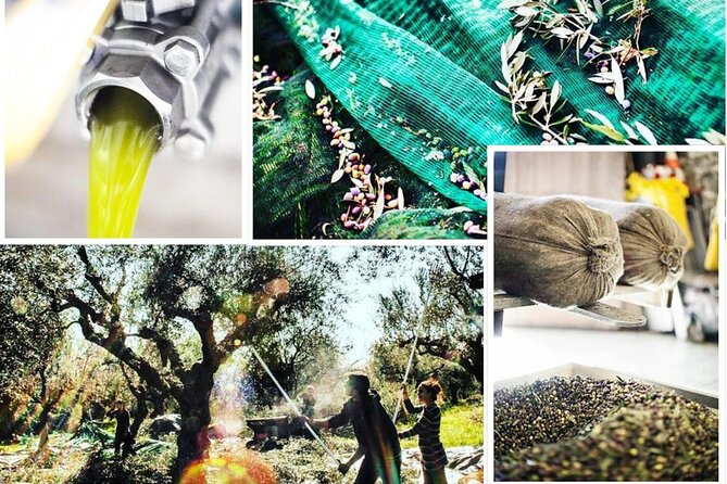 Olive Tour & Tasting - Common questions