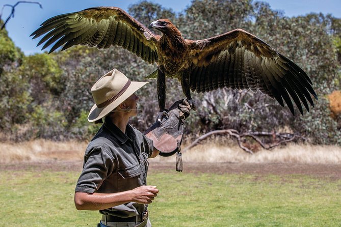 One Day Kangaroo Island Sip & See Tour With Return Ferry Transfers From Adelaide - Pickup and Drop-off