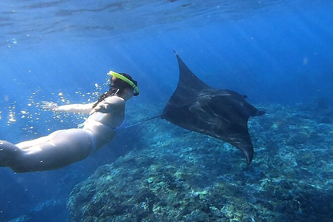 One Day Nusa Penida Island West With Snorkeling - Safety Measures and Concerns