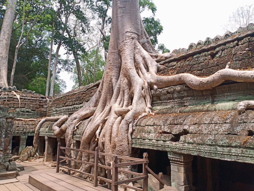 One Day Shared Trip to Angkor Temples With Sunset - Pickup and Drop-off Details