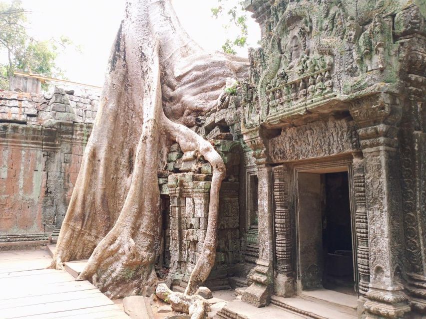 One Day Shared Trip to Angkor Temples - Return and Drop Off Arrangements