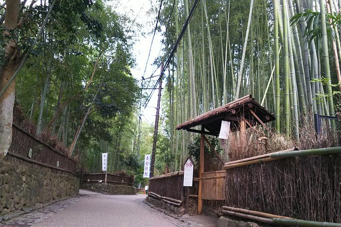 One Day Tour : Enjoy Kyoto to the Fullest! - Traveler Reviews and Recommendations