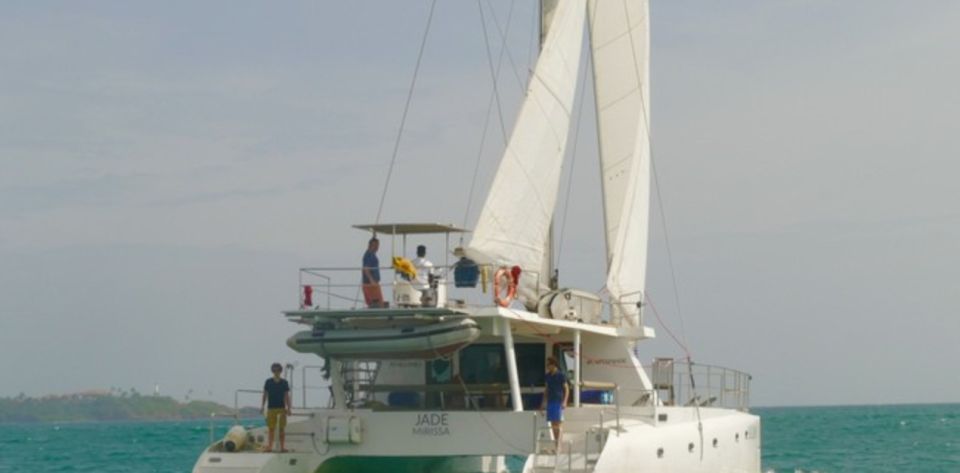 One-week South Coast Nature Cruise - Participant Requirements & Restrictions