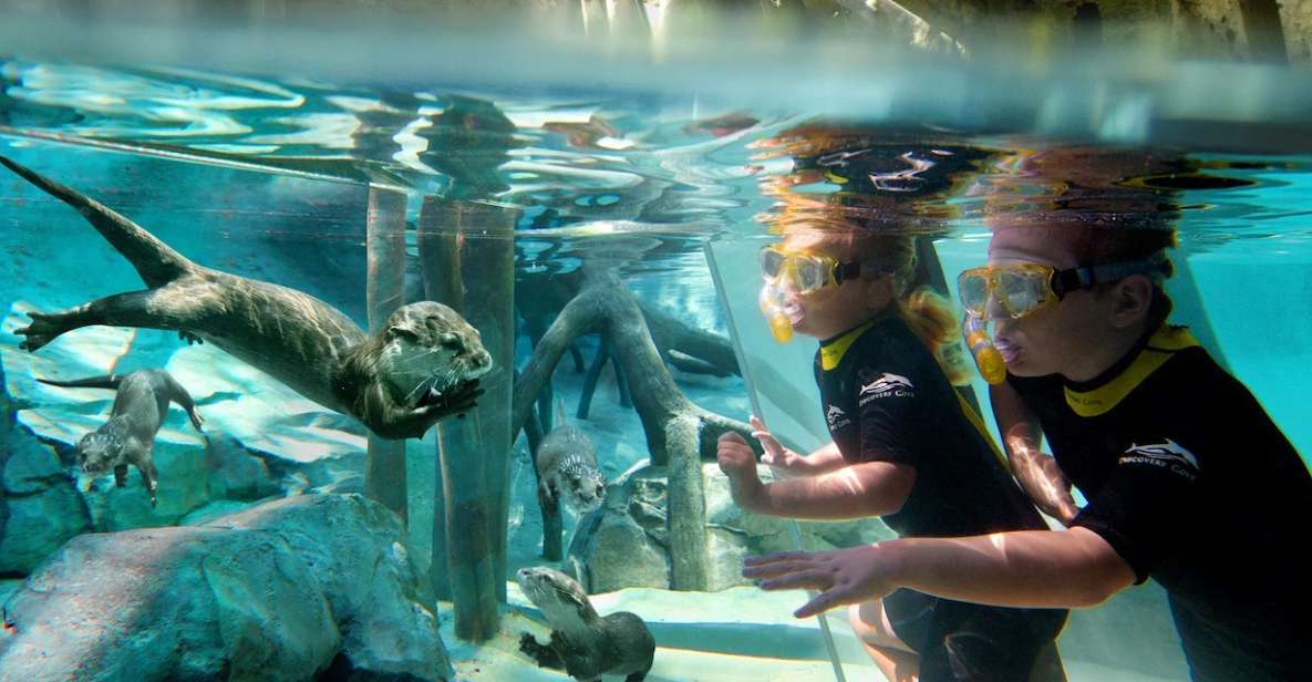 Orlando: Discovery Cove Admission Ticket & Additional Parks - Review Summary