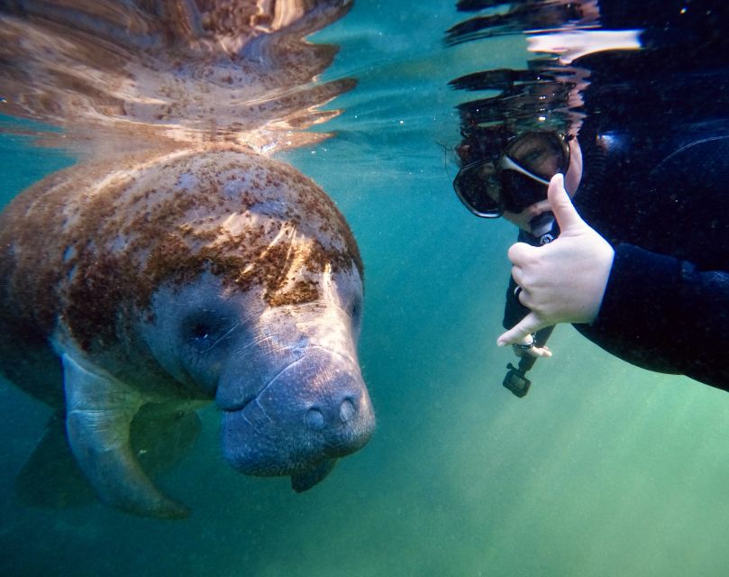 Orlando: Manatee Encounter, Snorkeling, and Airboat Ride - Essential Things to Bring