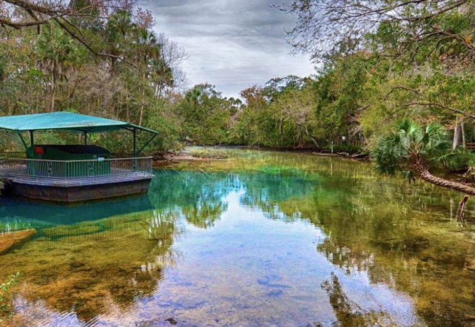 Orlando: Swim With Manatees and Homosassa State Park Visit - Review Summary