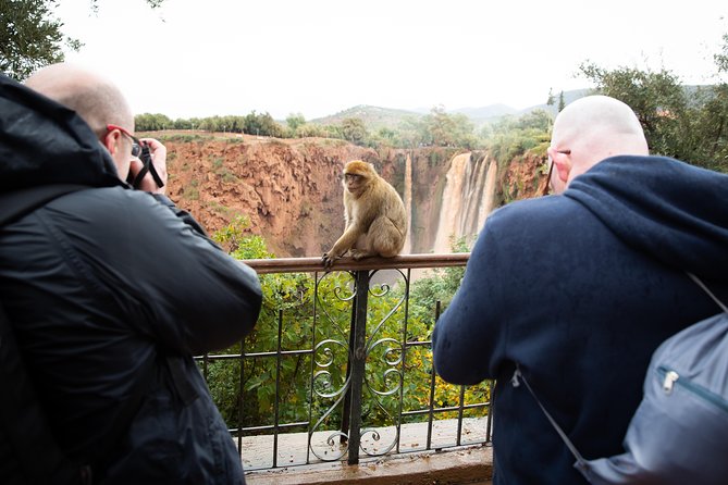 Ouzoud Falls Day Trip From Marrakech - Overall Experience