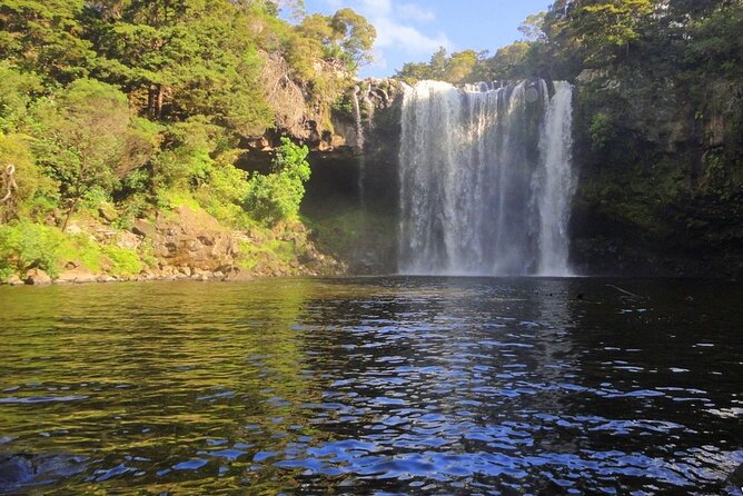 Pahia Shore Excursion: Private Half-Day Bay of Islands Tour - Customer Reviews