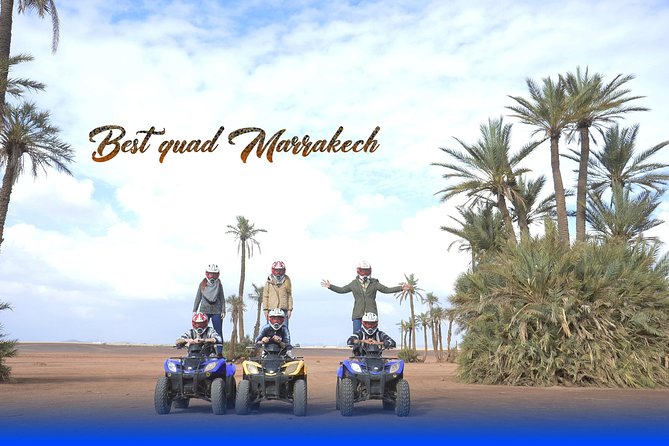 Palm Grove Quad Bike and Camel Ride Tour - Criticisms and Suggestions