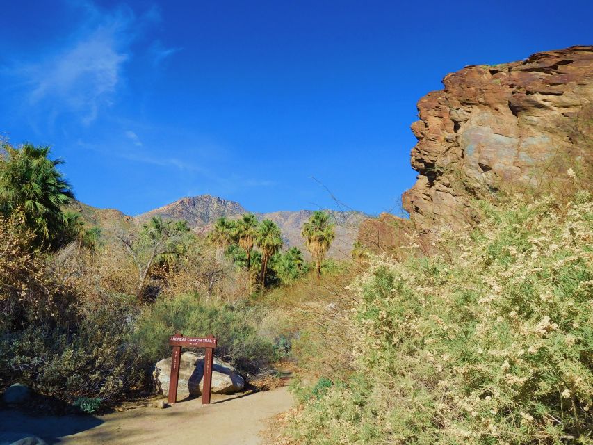 Palm Springs: Indian Canyons Hiking Tour by Jeep - Traveler Reviews and Recommendations