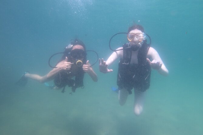 Panama City Scuba Diving Activity for Beginners - General Information