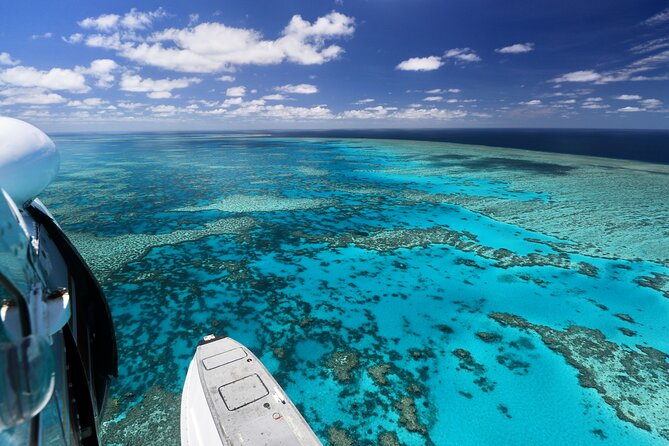 Panorama: the Ultimate Seaplane Tour - Great Barrier Reef & Whitehaven Beach - Cancellation Policy
