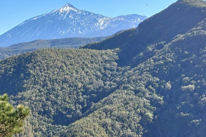 Panoramic Route Across the Teno Rural Park in Tenerife - Common questions