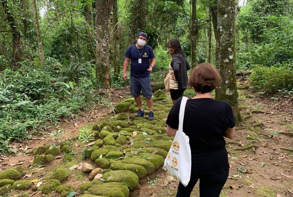 Paraty: Gold Trail Rainforest Hiking Tour - Location and Review