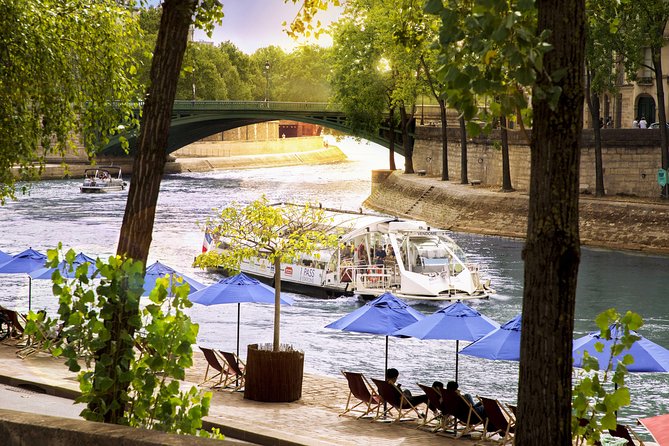 Paris Seine River Hop-On Hop-Off Sightseeing Cruise - Issues and Challenges to Consider