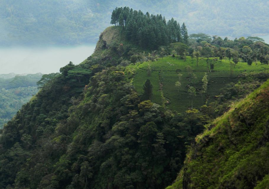 Peacock Hill Trek - Photography Opportunity