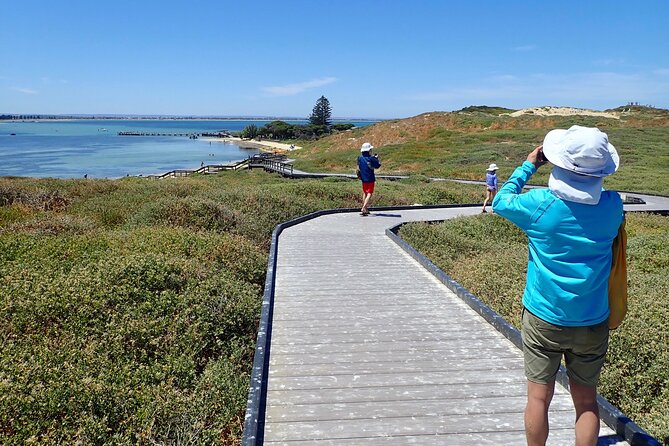 Penguin and Seal Islands Sea Kayaking Experience - Activity Information and Requirements