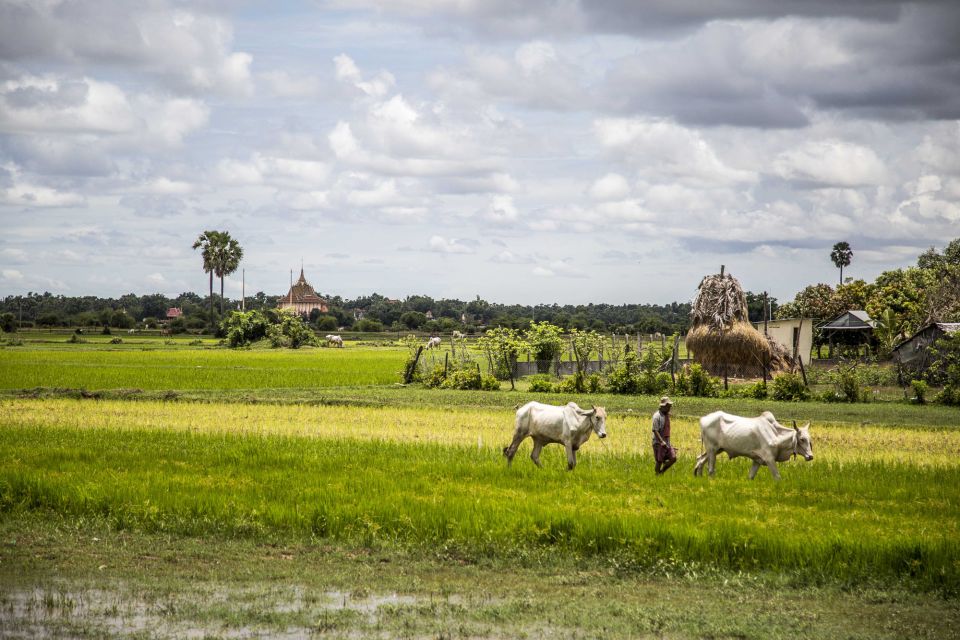 Phnom Penh: Phnom Oudong & Koh Chen Village - Lunch Include - Local Cuisine Experience