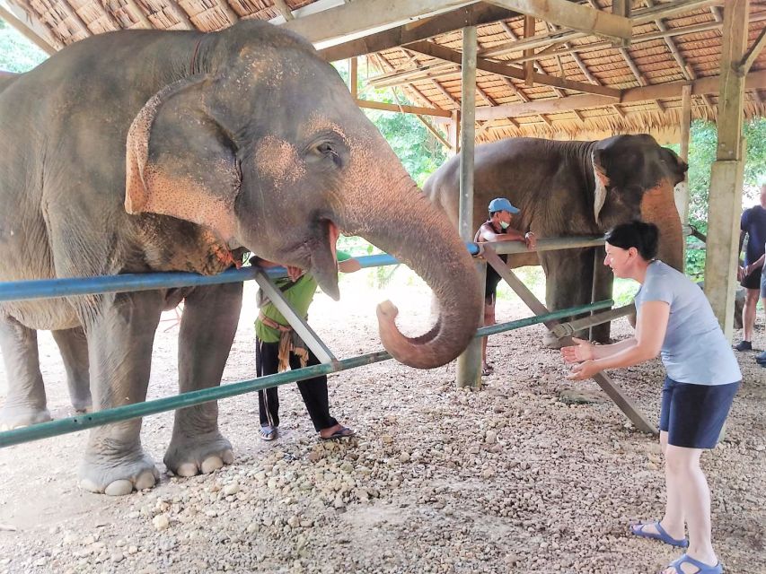 Phuket: Cheow Lan Lake Overnight With Elephant Day Care - Water Activities and Scenic Views