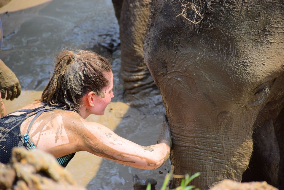 Phuket: Elephant Save & Care Program Tour - Directions