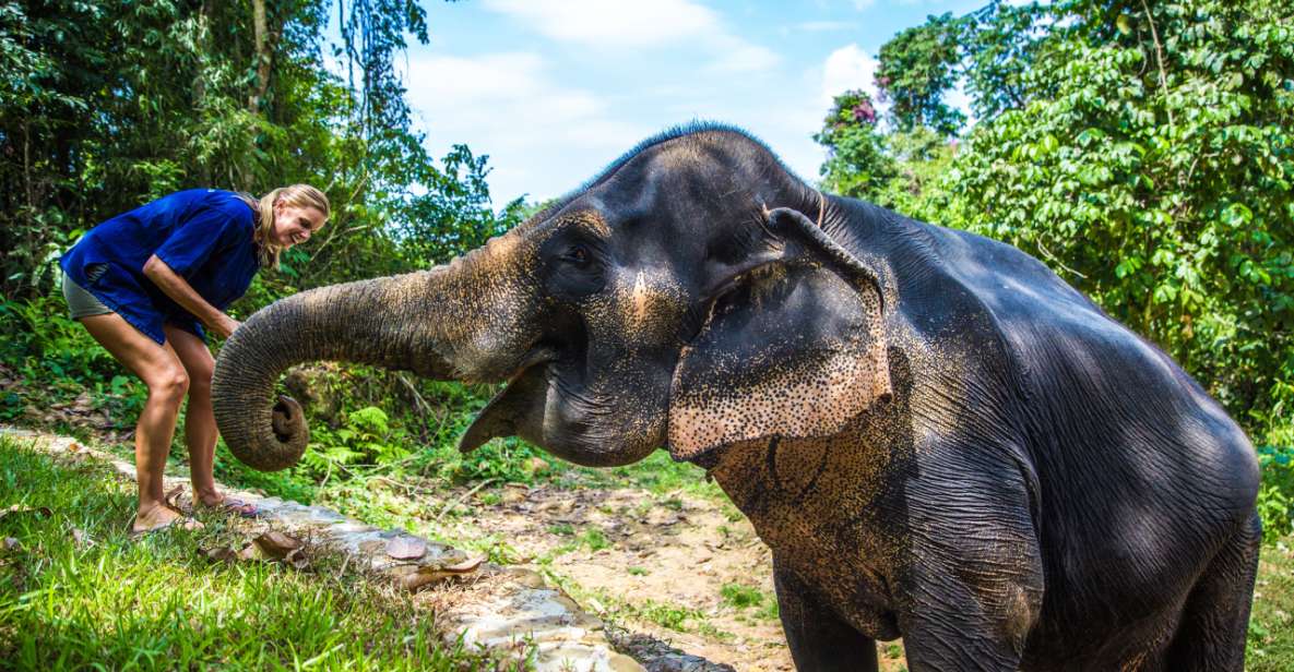 Phuket: Ethical Elephant Sanctuary Experience - Park Information & Ethical Practices