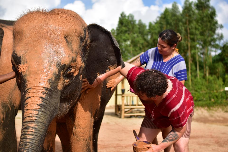Phuket: Half-Day Elephant Experience With Lunch and Pickup - Booking Details and Location Information