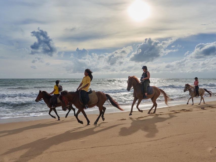 Phuket: Kamala Beach Horse Riding Activity - Customer Reviews