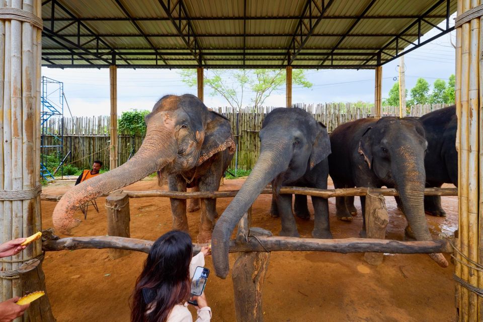 Phuket: Phuket Elephant Sanctuary, Wat Chalong & More - Transportation Information