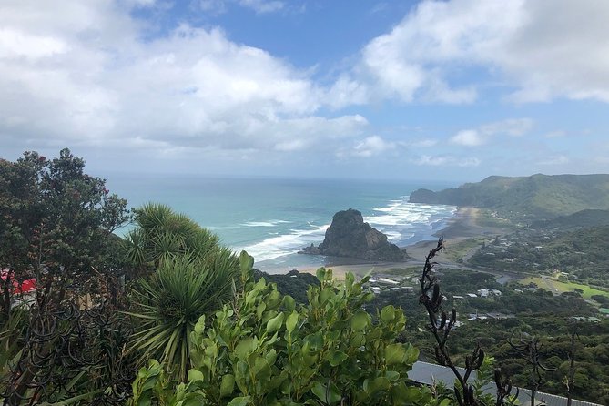 Piha Waitakere Rainforest Wine Tour From Auckland - Background and Overview