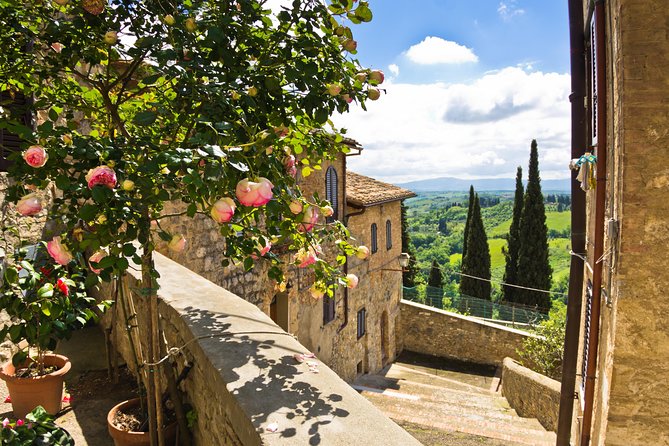 Pisa, Siena and San Gimignano Day Trip With Lunch & Wine Pairing - Customer Experience