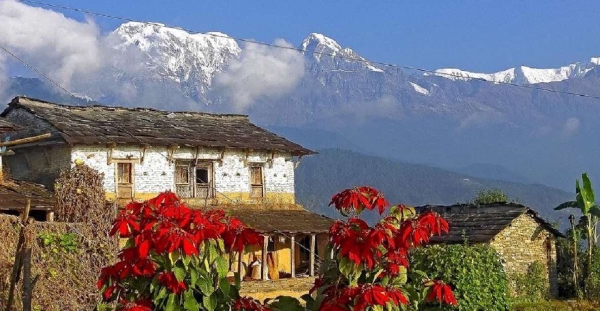 Pokhara: Guided Day Hike From Dampus To Australian Base Camp - Australian Camp at 2,100 Meters