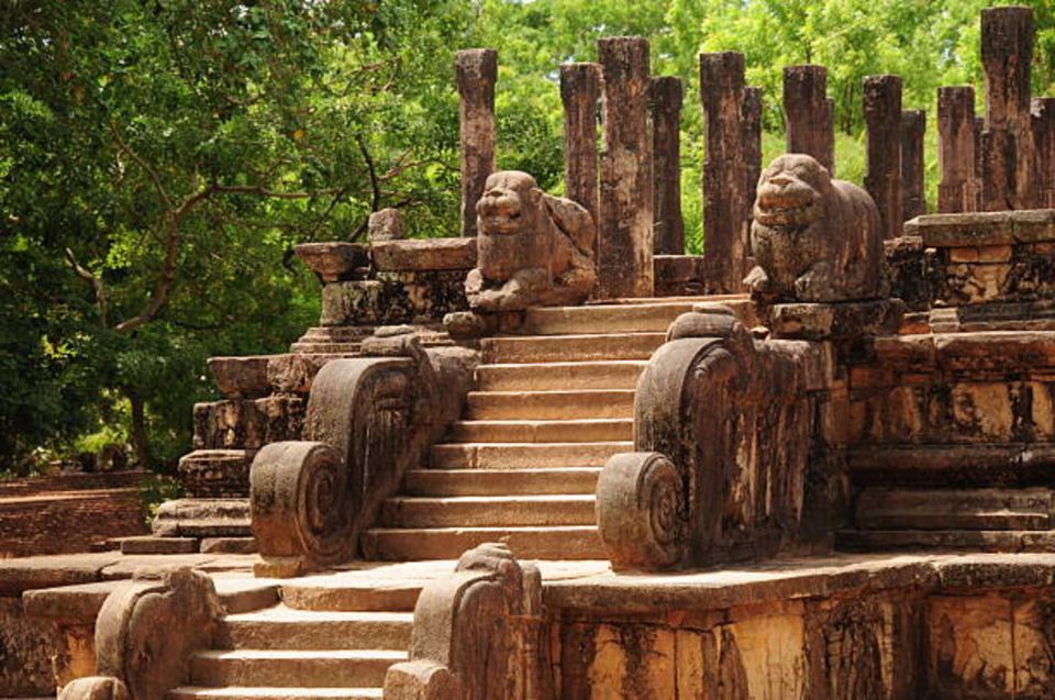 Polonnaruwa Ancient City Tour With Minneriya Elephant Safari - Booking Details for an Extraordinary Experience