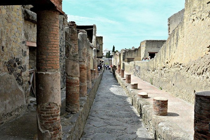 Pompeii and Herculaneum Private Walking Tour With an Archaeologist - Additional Information