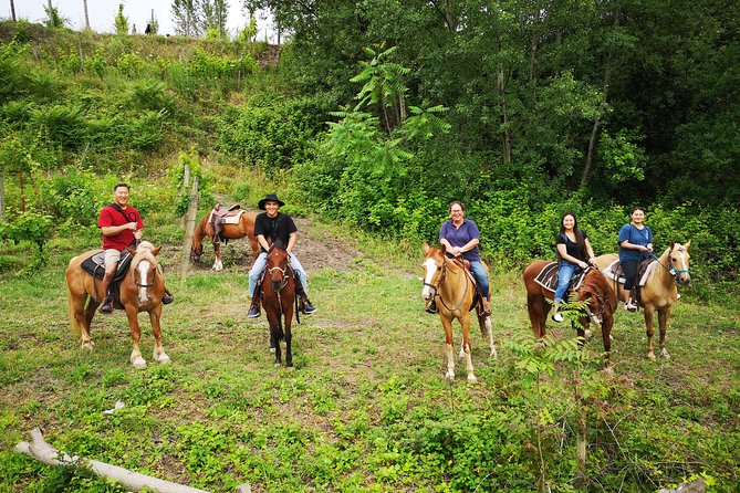 Pompeii Guided Tour & Horse Riding on Vesuvius With Wine Tasting - Challenges and Host Responses