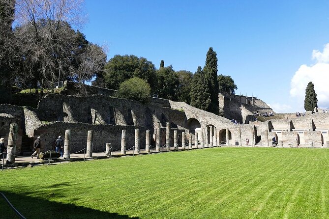 Pompeii Guided Walking Tour With Included Entrance at Pompeii Ruins - Group Dynamics and Pace Feedback